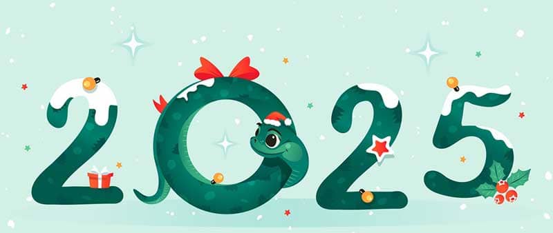 С Новым 2025 годом